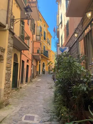 Il quartiere o una zona nella vicinanze dell'appartamento