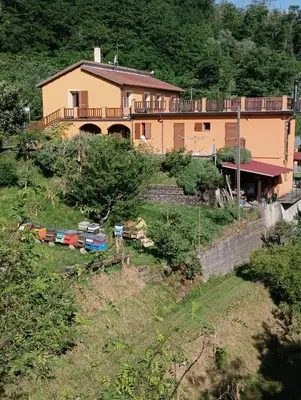 Edificio in cui si trova l'affittacamere