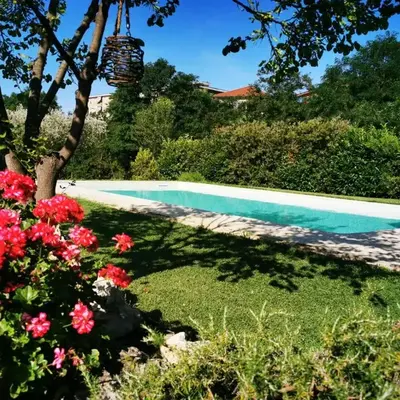 Gli Ulivi