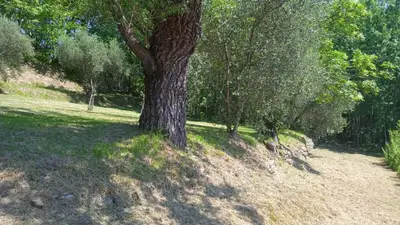 Paesaggio naturale nelle vicinanze del bed & breakfast