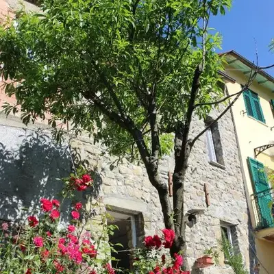 Il Nido Di Pesca