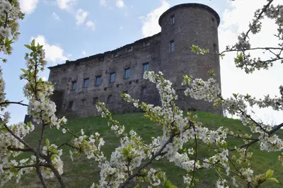 Planimetria di La Posta Apartment