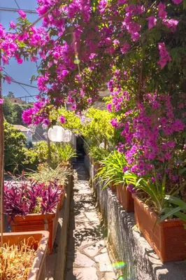 Giardino di Impero Luxury Apartment