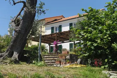 Giardino di Casa Franguella - Uliveto sul mare