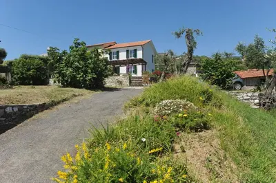 Giardino di Casa Franguella - Uliveto sul mare