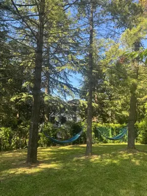 Giardino di Chalet Bosco Magico Roccolo