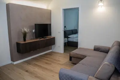 TV o dispositivi per l'intrattenimento presso BDS9 Apartment