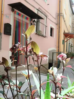 Edificio in cui si trova la casa vacanze