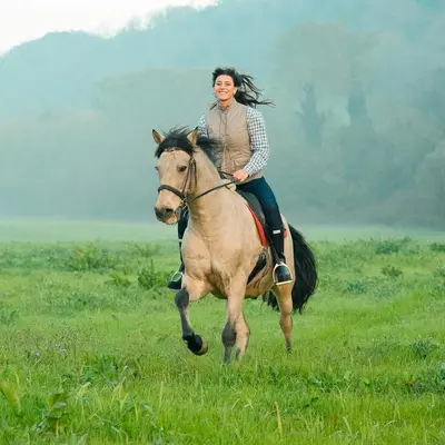 Altri animali domestici presso l'appartamento o nei dintorni