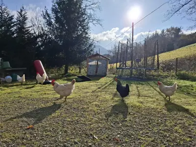 Giardino di B&B dei Forestieri