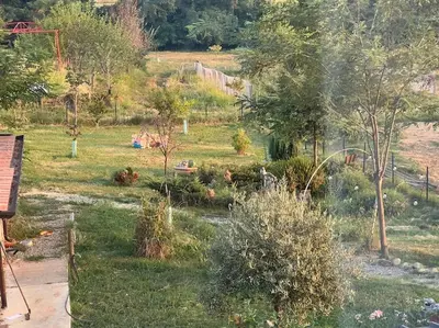 Giardino di Nido nel verde