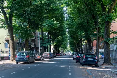 Il quartiere o una zona nella vicinanze dell'appartamento
