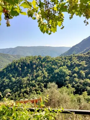 Paesaggio naturale nelle vicinanze del bed & breakfast