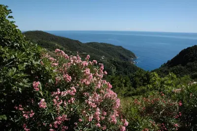 Paesaggio naturale nelle vicinanze della villa