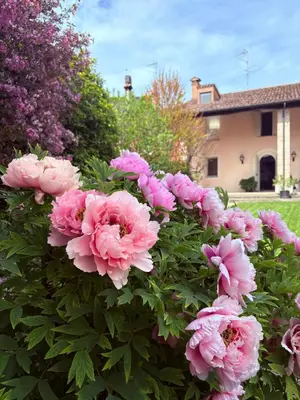Giardino di Maison Jardin