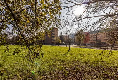 Giardino di Suite Magenta - Affitti Brevi Italia