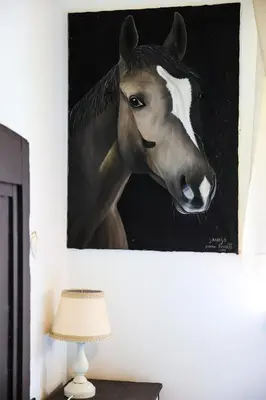 Altri animali domestici presso il bed & breakfast o nei dintorni
