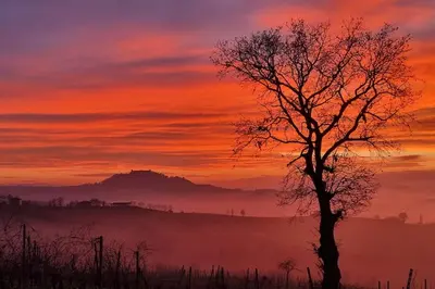 Paesaggio naturale nelle vicinanze dell'appartamento