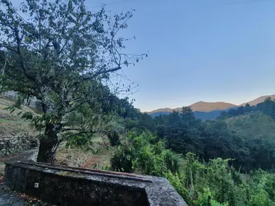 Paesaggio naturale nelle vicinanze dell'appartamento
