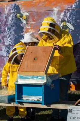 Planimetria di Saranto, Maison du Charme - La Tua Oasi nel Verde dell'Emilia