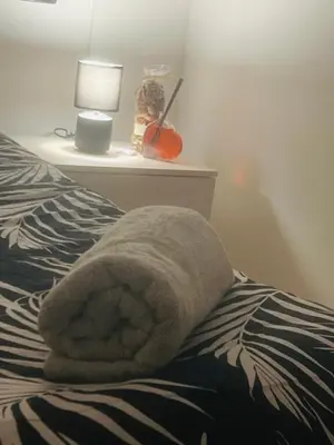 Letto o letti in una camera di Via Brescia