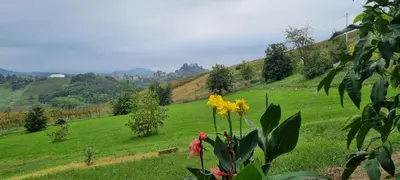 Paesaggio naturale nelle vicinanze dell'appartamento
