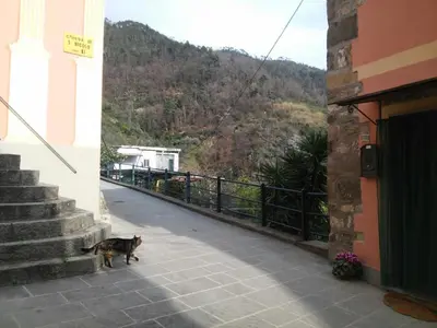 Vista generica sulle montagne o vista sulle montagne dall'interno dell'appartamento