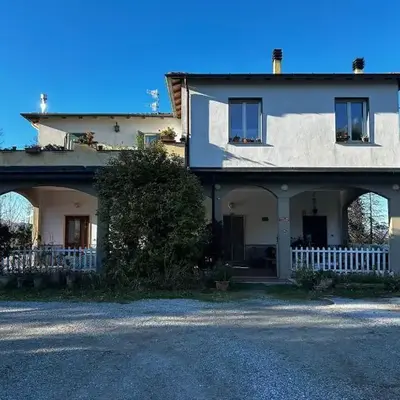 Le camelie 2 di Francesca