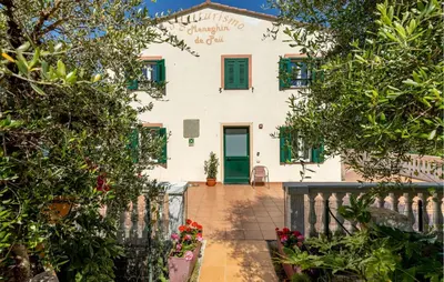 Giardino di Pet Friendly Home In Ne