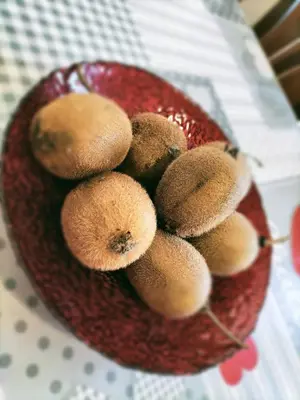 Cibo presso l'appartamento o nelle vicinanze
