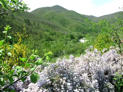 Paesaggio naturale nelle vicinanze dell'agriturismo