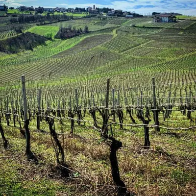 Paesaggio naturale nelle vicinanze dell'agriturismo