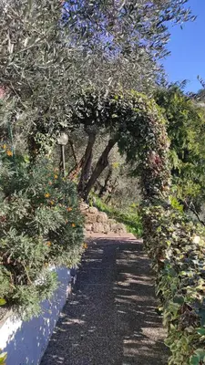Giardino di Villino Isabella