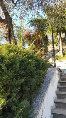 Giardino di Villino Isabella