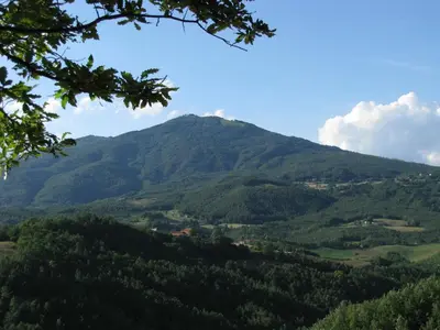 Paesaggio naturale nelle vicinanze del bed & breakfast