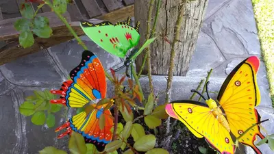 Planimetria di B&B Costalta