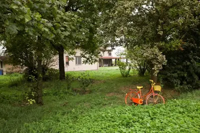 Giardino di Agriturismo Casari