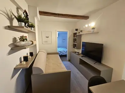 TV o dispositivi per l'intrattenimento presso Elegant and beautiful in the heart of Modena