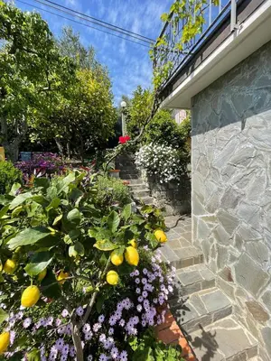 Giardino di Cottage con vista mozzafiato sul mare - Monterosso al mare