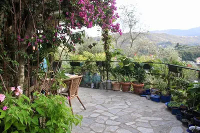 Vista generica sulle montagne o vista sulle montagne dall'interno della casa vacanze
