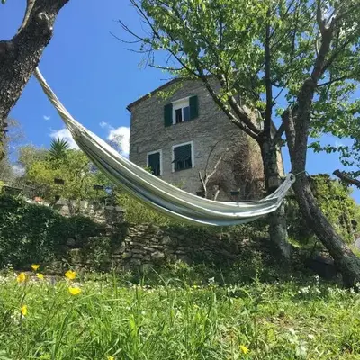 Rustico tra gli Ulivi