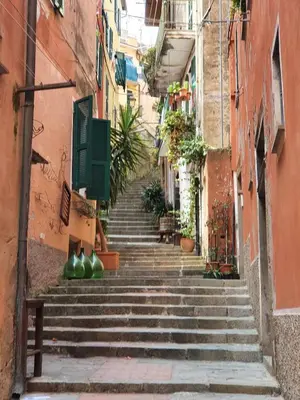 Il quartiere o una zona nella vicinanze dell'appartamento