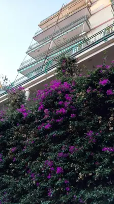 Giardino di Giulia & Giovanna Apartments