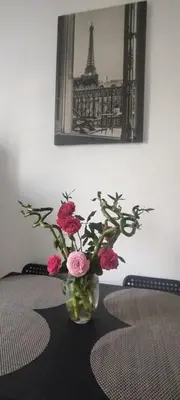 Planimetria di Bellavista Mantova