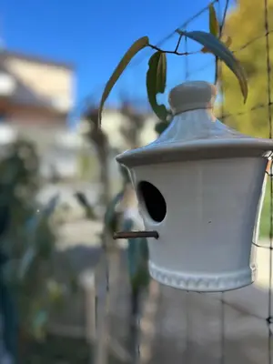 Planimetria di Le case di Torto