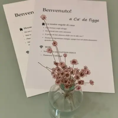 Ca'de figge