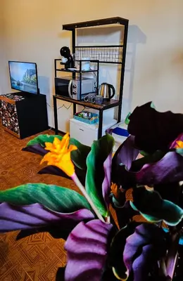 TV o dispositivi per l'intrattenimento presso Tiriticco B&B