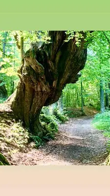 Paesaggio naturale nelle vicinanze della casa vacanze