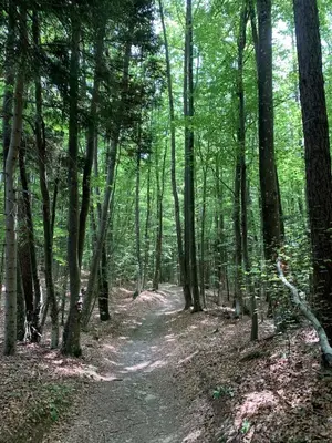 Paesaggio naturale nelle vicinanze della casa vacanze