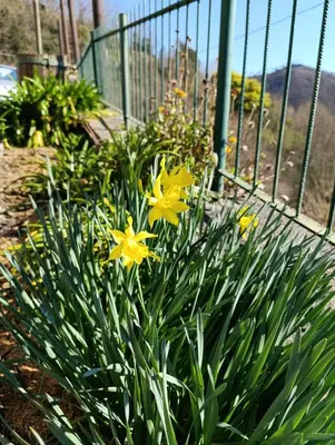 Giardino di La Casa del Sole